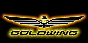     . 

:	GoldwingBackground.jpg 
:	1077 
:	57.0  
ID:	18299