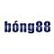   bong88biz