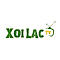   xoilactvstudio