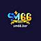   sm66bar