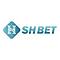   shbet1cfd