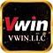   vwinllc