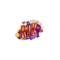   rikvipdesign