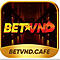   betvndcafe