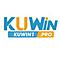   kuwin1pro1