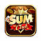   sumclub1