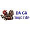   dagatructiepbar