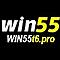   win55t6pro