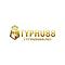   typhu8888net