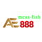   ae888mcasfish