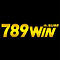   789winsurf