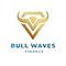  bwfventures