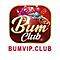   bumvipnet