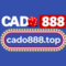   cado888top