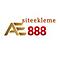   ae888siteekleme