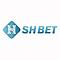   shbetvycom