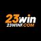   23winfcom