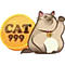   cat999kim