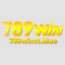   789winttblue