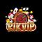   rikvipcodes