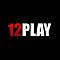   12playvngame