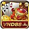   vnd88us1