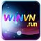   winvnrun