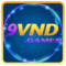   9vndgames