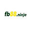   fb88ninja1